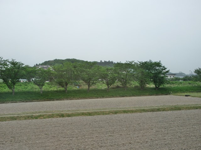 b0009849_16473883.jpg