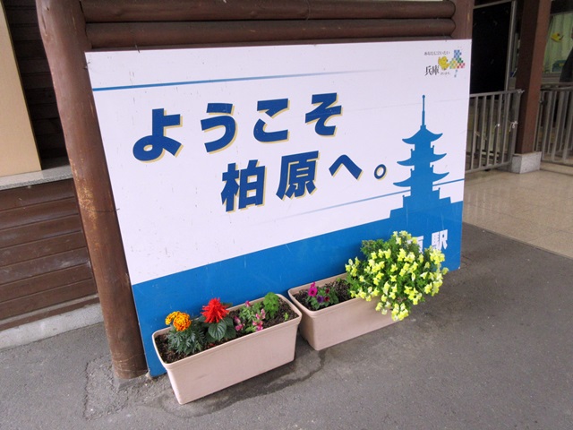 b0009849_1734890.jpg