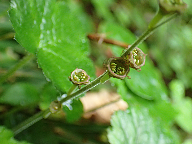 f0214649_05063364.jpg
