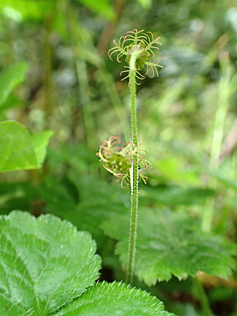 f0214649_05063430.jpg
