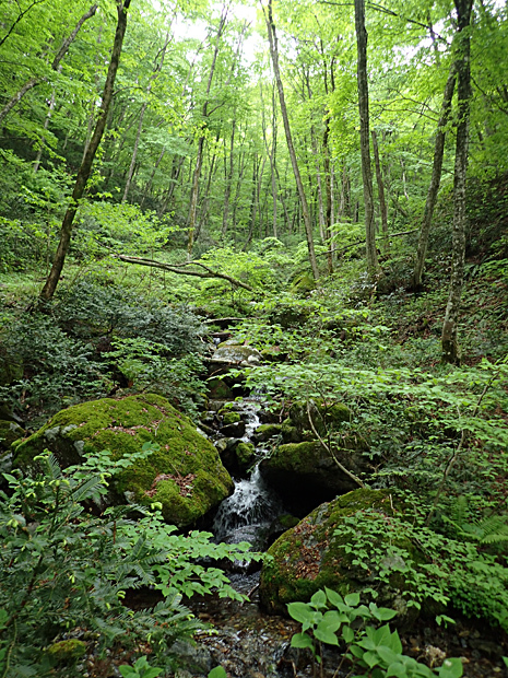 f0214649_05063469.jpg