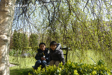 a0200050_00113139.jpg
