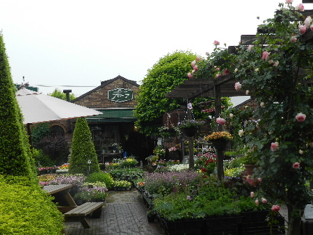 e0172950_2034535.jpg