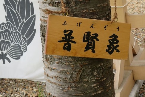 f0202151_19135052.jpg
