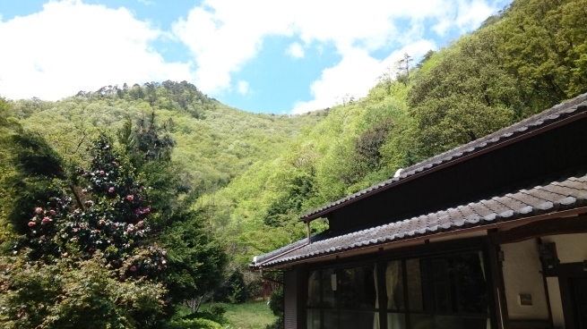 f0337851_20502712.jpg