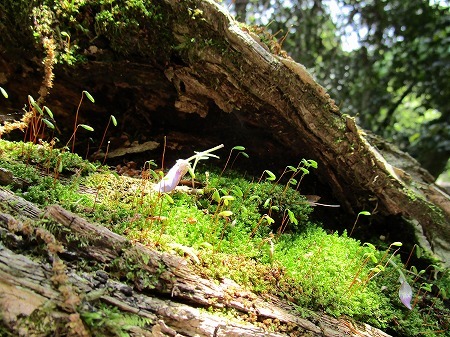 c0327752_13201307.jpg
