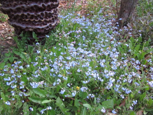 b0247153_00034605.jpg