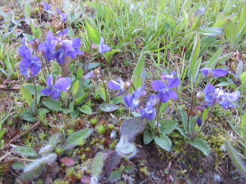 b0247153_00103495.jpg