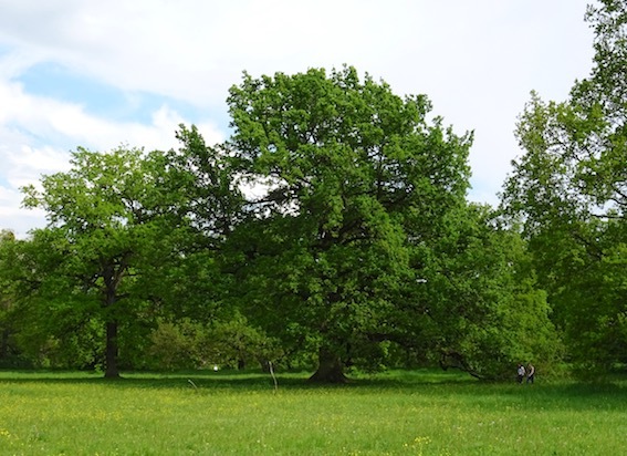 e0365654_03202149.jpg