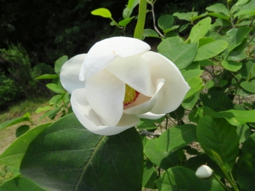 a0018655_15184340.jpg