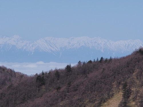 b0335256_16495024.jpg