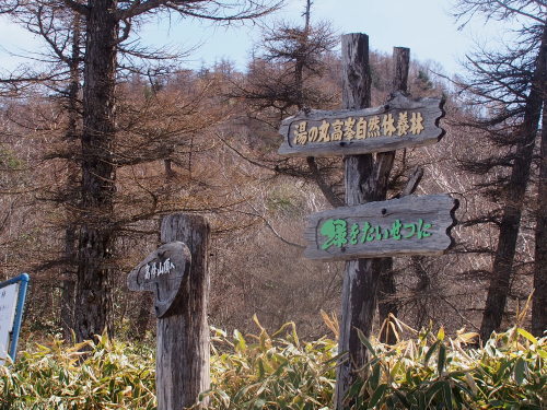 b0335256_18233677.jpg
