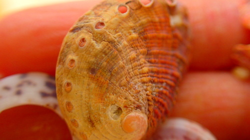 b0160957_16041719.jpg