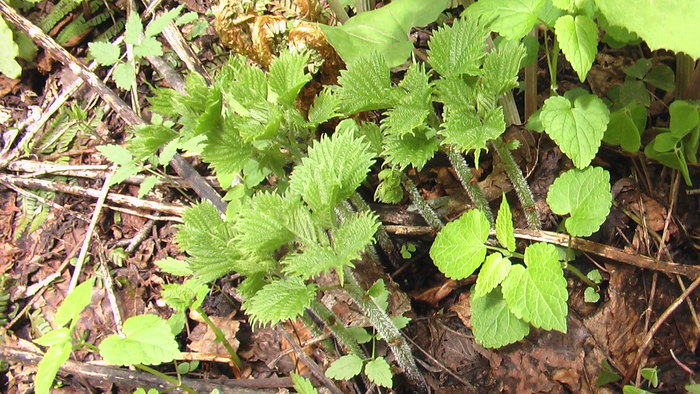 b0208961_933092.jpg