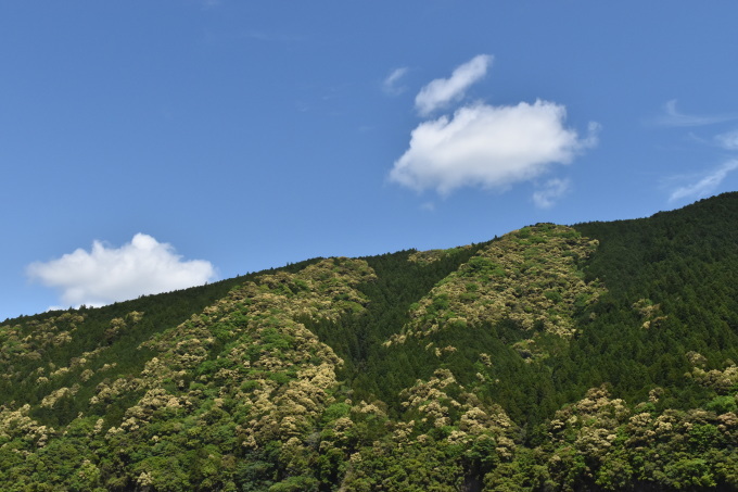 d0087062_18501450.jpg