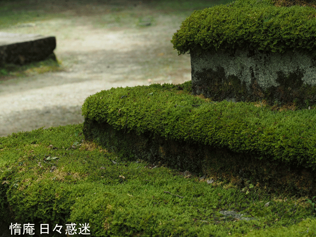e0346064_17544429.gif