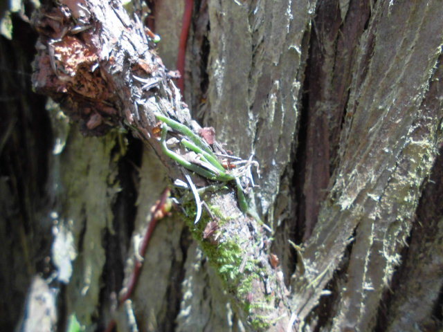 f0318967_22151855.jpg