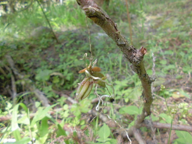 f0318967_22225861.jpg