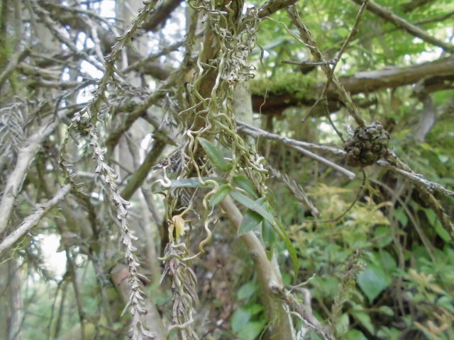 f0318967_22234158.jpg