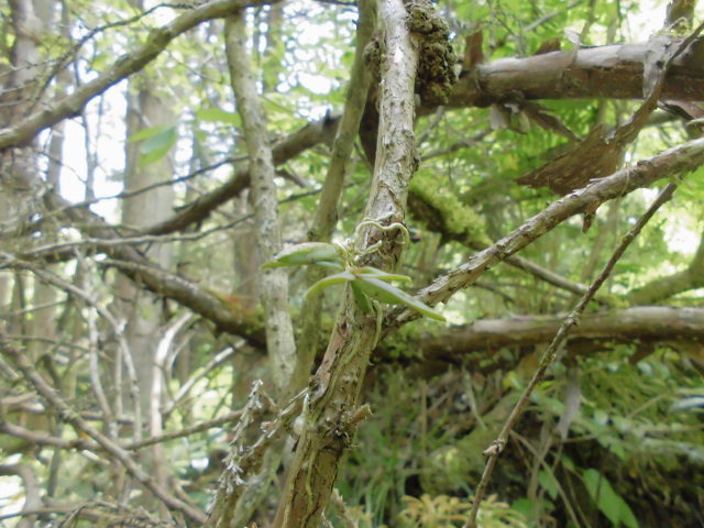f0318967_22235090.jpg