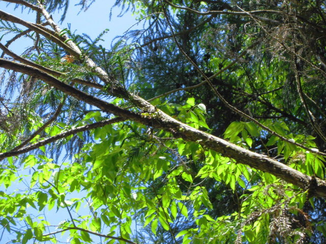 f0318967_22333701.jpg