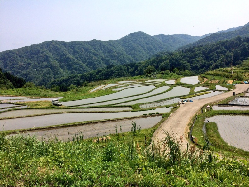 d0357168_22555728.jpg