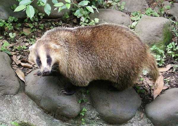c0122670_20412590.jpg