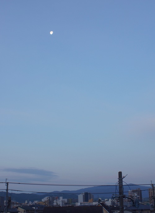 c0169176_72566.jpg
