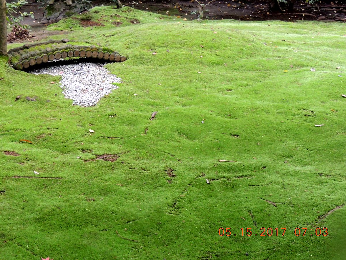f0104277_2092118.jpg