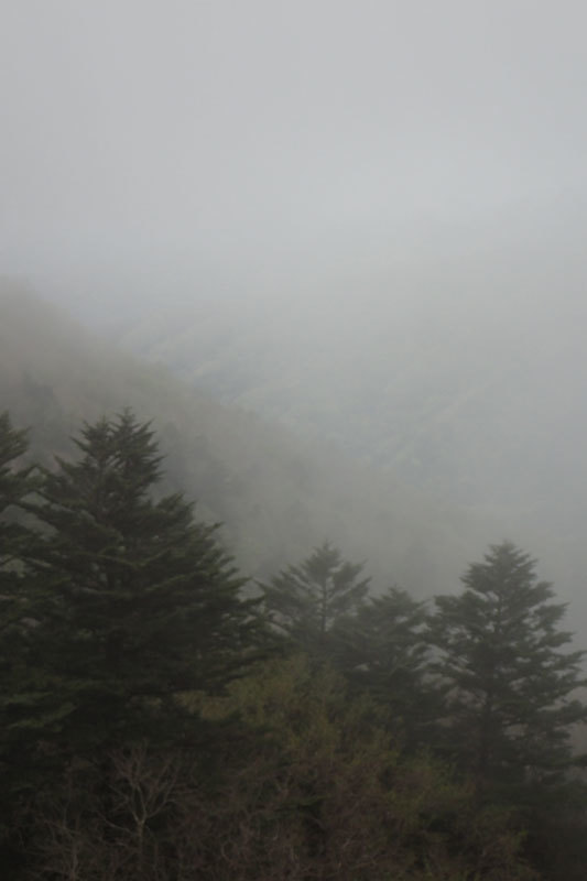 a0035279_23235488.jpg