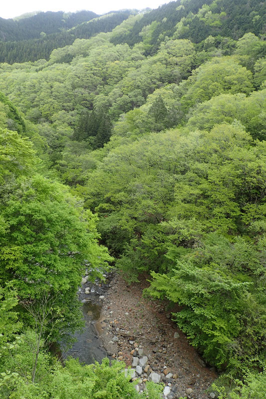 a0035279_23240354.jpg