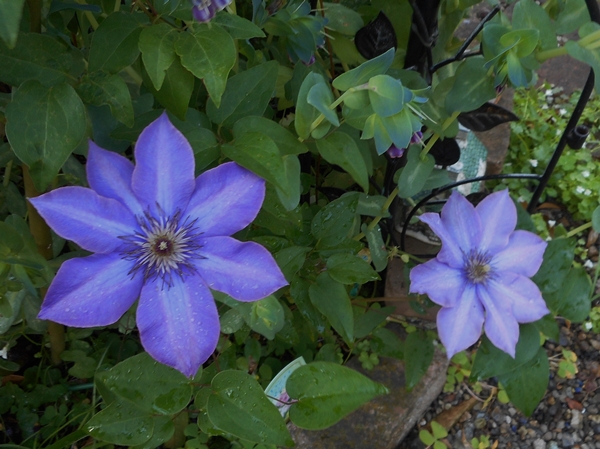 f0366679_17532267.jpg