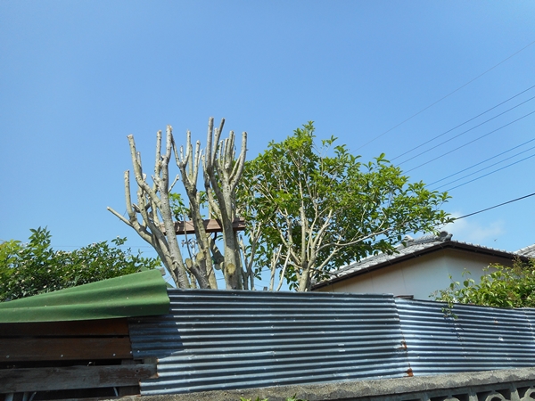 f0366679_2229542.jpg