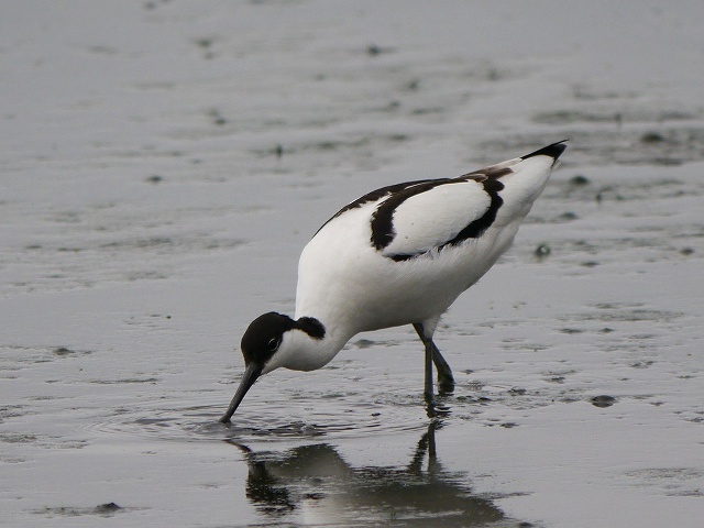 d0088184_20260197.jpg
