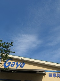 e0130185_1127347.jpg