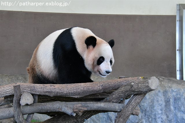a0052986_7201364.jpg