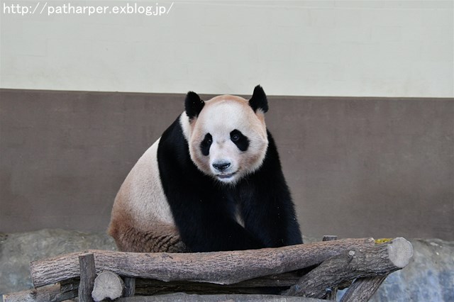 a0052986_7203027.jpg