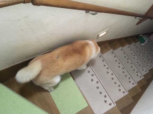 c0123890_19380591.jpeg