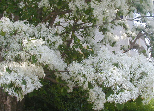 d0053294_12192516.jpg
