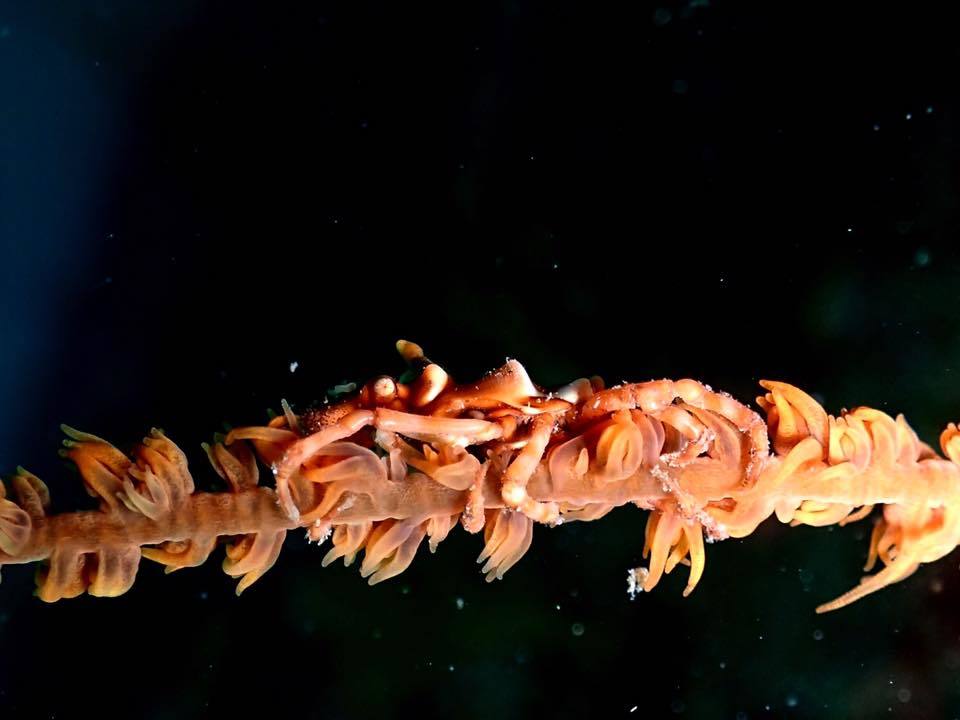 e0115199_20133165.jpg