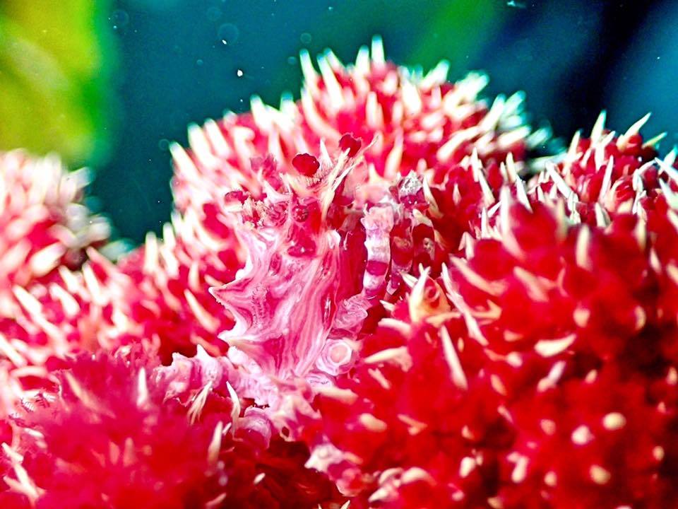 e0115199_20133211.jpg