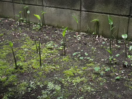 f0239100_23023822.jpg