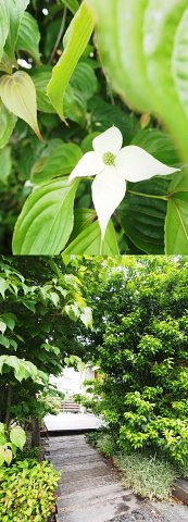 c0039501_11284361.jpg