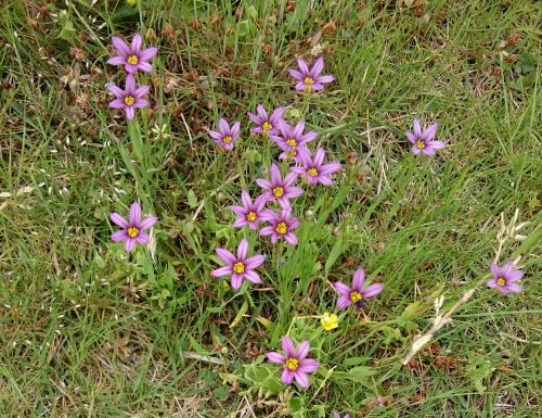 e0351303_16382934.jpg