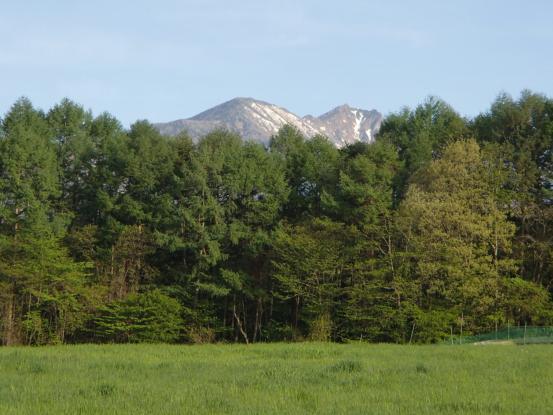 f0064906_17533346.jpg