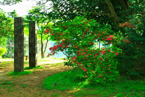 a0263109_20291332.jpg