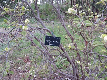 f0325309_14135654.jpg