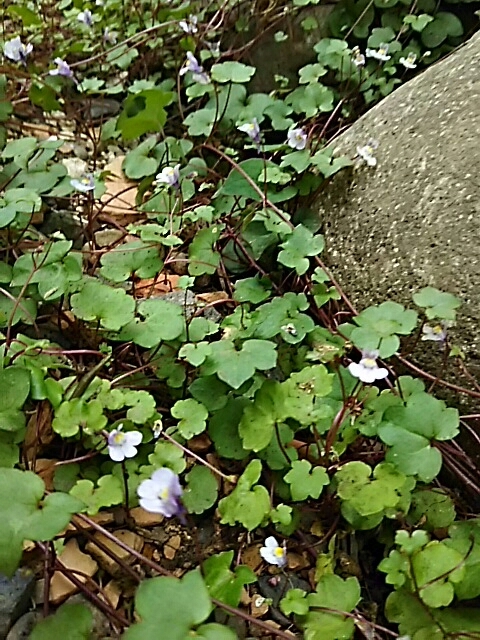 f0150612_17330297.jpg
