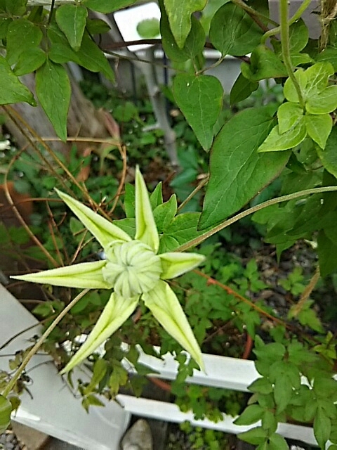 f0150612_17330569.jpg