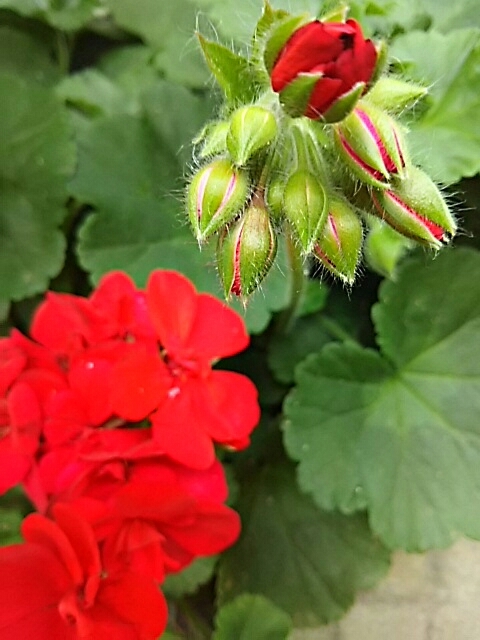 f0150612_17330605.jpg